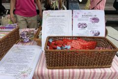 313013098_555206776610532_5875797066429962616_n