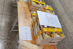 LINE_ALBUM_202433（日）10001600視覺特教家長成長支持團體_240315_55
