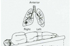 12509673_992845744142772_523552388135058764_n
