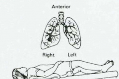 12524032_992845774142769_7420442513758766094_n