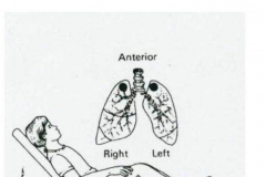 12552599_992845737476106_3911869918991644837_n