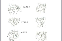 13241404_1072629366164409_1885027904459685469_n