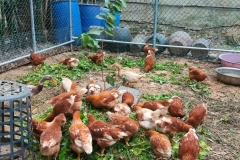 323779153_741820710691332_8512470671132292322_n