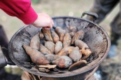 326208979_707626617436811_12496498762861681_n